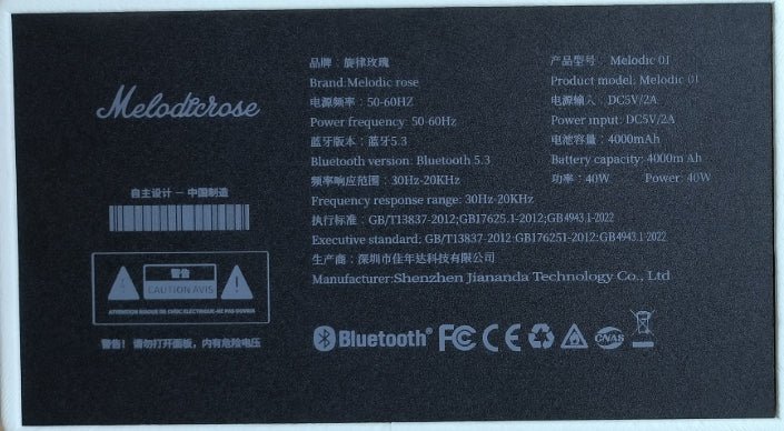 -Melodicrose - 40 Watt Vintage Verstärker mit 4000mAh Akku für unterwegs