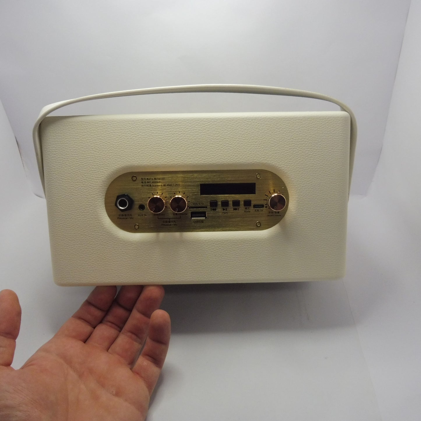 -Melodicrose - 40 Watt Vintage Verstärker mit 4000mAh Akku für unterwegs