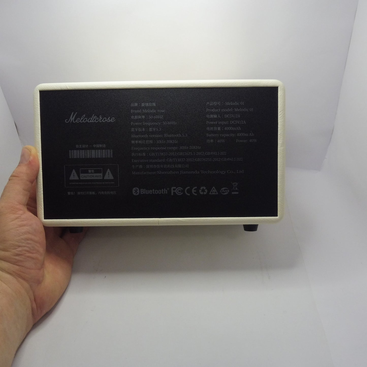 -Melodicrose - 40 Watt Vintage Verstärker mit 4000mAh Akku für unterwegs