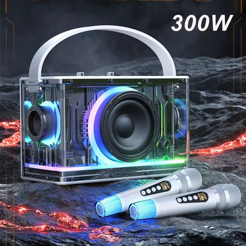 RGB Karaoke Lautsprecher mit 2 Mikrofonen