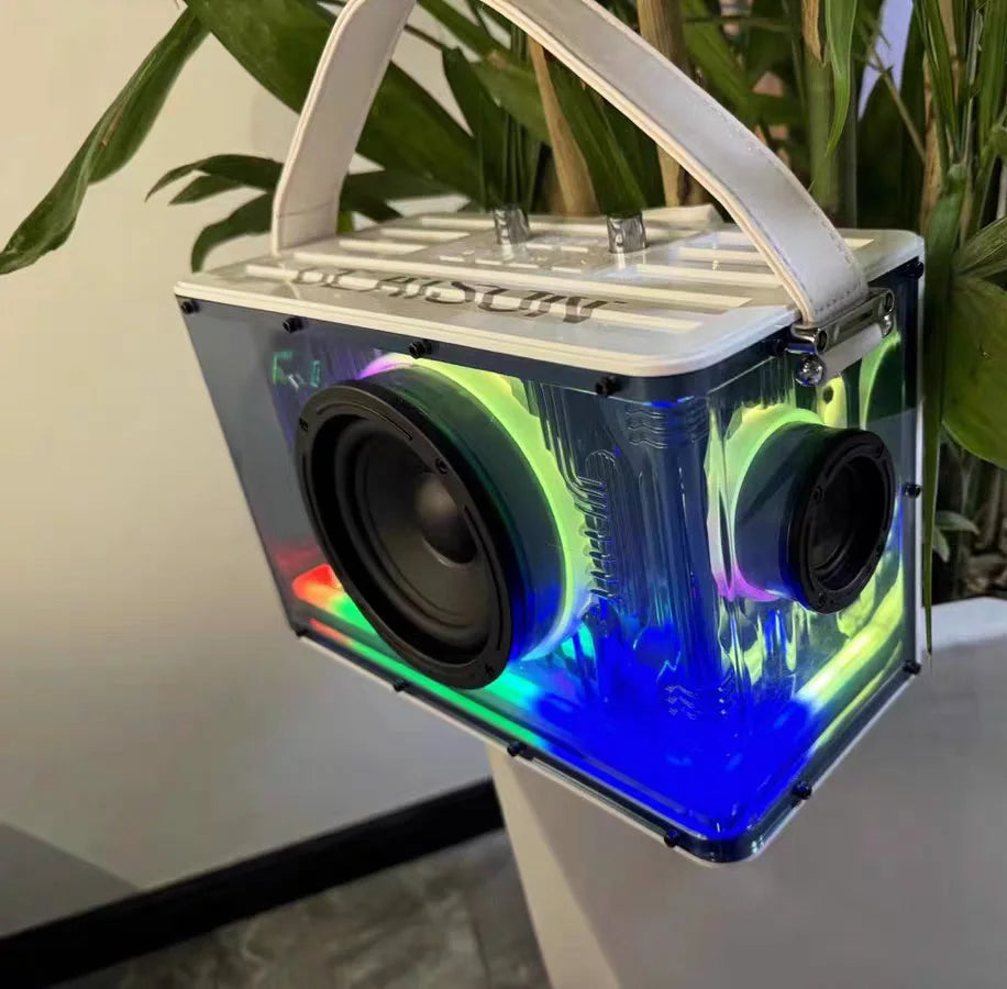 RGB Karaoke Lautsprecher mit 2 Mikrofonen