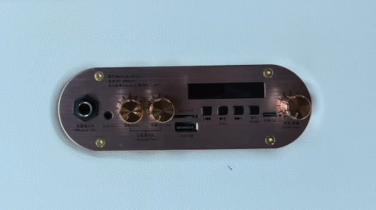 Melodicrose 1, 40 Watt Verstärker für unterwegs
