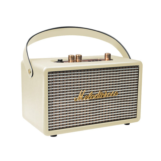 Melodicrose 1, 40 Watt Verstärker für unterwegs