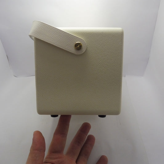 -Melodicrose - 40 Watt Vintage Verstärker mit 4000mAh Akku für unterwegs