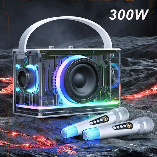 RGB Karaoke Lautsprecher mit 2 Mikrofonen